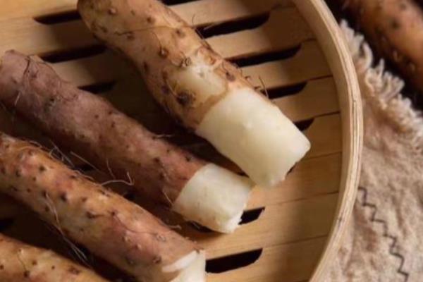 农村适合种什么药材，桔梗、苦参等品种可以考虑