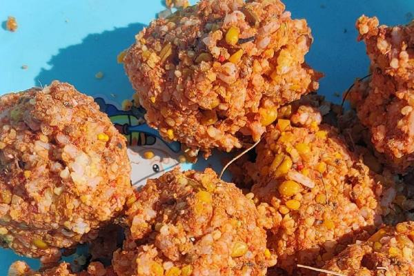 大头鱼用什么饵料钓，对酸臭味食物非常感兴趣