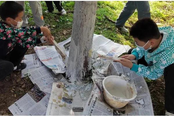 农作物冬季防寒措施,覆盖秸秆或稻草可以降低风寒损伤