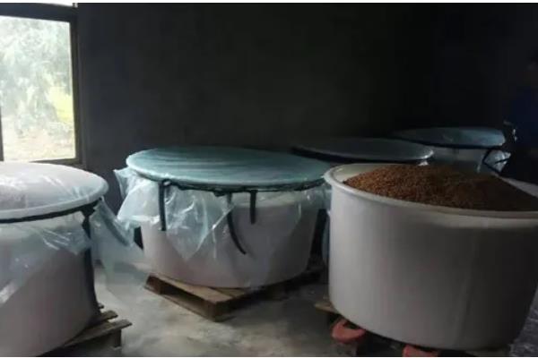 农作物冬季防寒措施,覆盖秸秆或稻草可以降低风寒损伤
