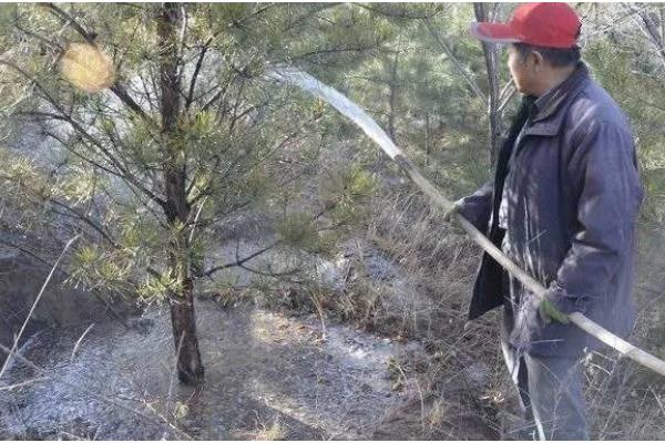 农作物冬季防寒措施,覆盖秸秆或稻草可以降低风寒损伤
