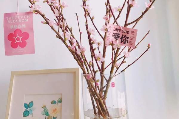 盆栽桃花的养护技术，每年开花和花后各施液肥一次