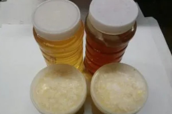 枣花蜜是不是性温,属于偏温性食物