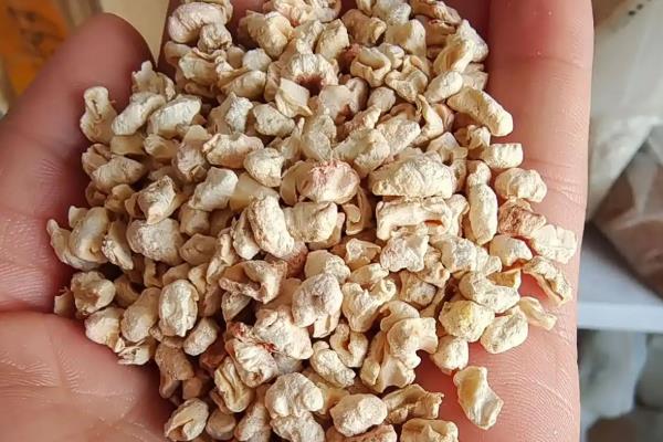 玉米芯压块后卖去哪里，通常会卖给菌菇种植基地