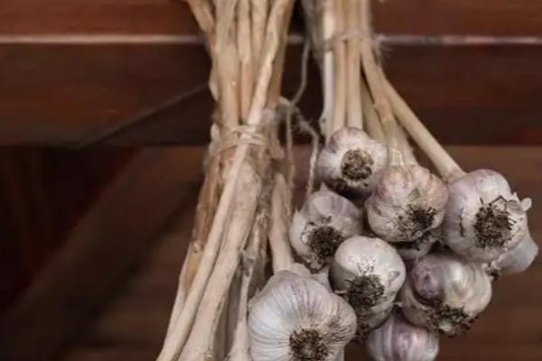 大蒜的保存方法，可冰箱冷藏、食盐腌制等