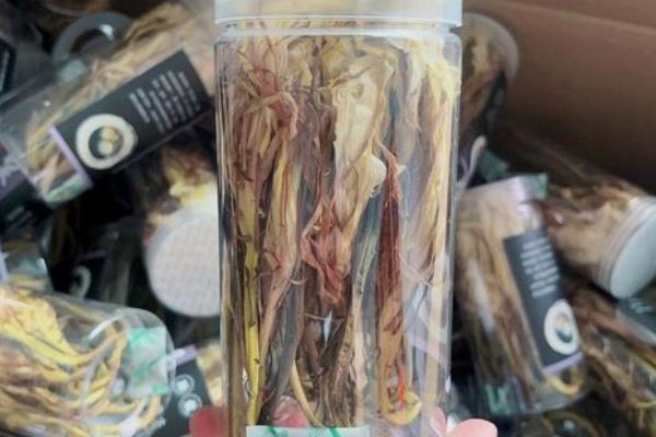 昙花摘下来怎么保存,可以做成干花