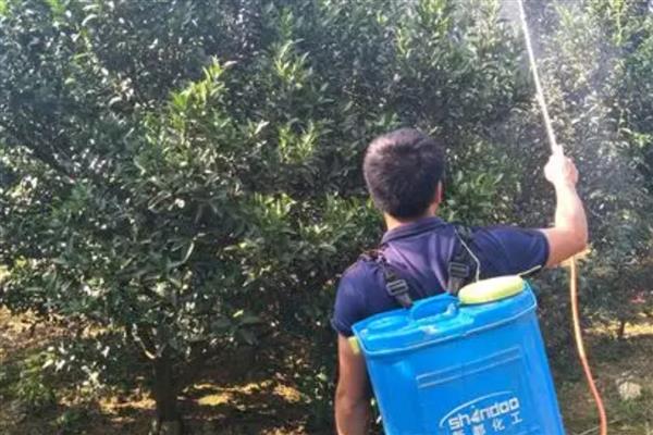 夏季喷施农药的注意事项,尽可能避开中午高温天气