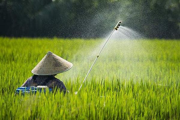 夏季喷施农药的注意事项,尽可能避开中午高温天气