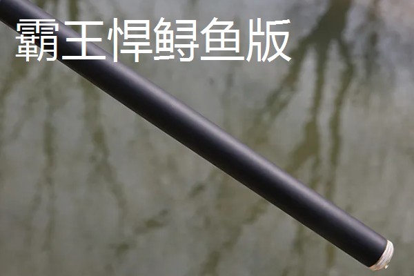 青鲟鱼竿推荐品牌,霸王悍鲟鱼版、浪尖巨物版等品牌值得考虑