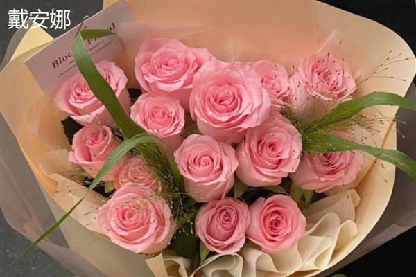 玫瑰与月季有什么区别，叶片数量、花朵、花色等方面不同