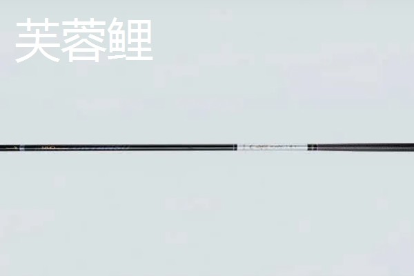 青鲟鱼竿推荐品牌,霸王悍鲟鱼版、浪尖巨物版等品牌值得考虑