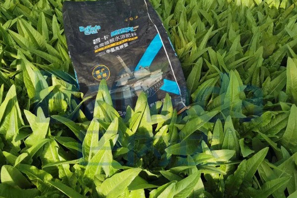 腐植酸是什么，是一种大分子有机物质