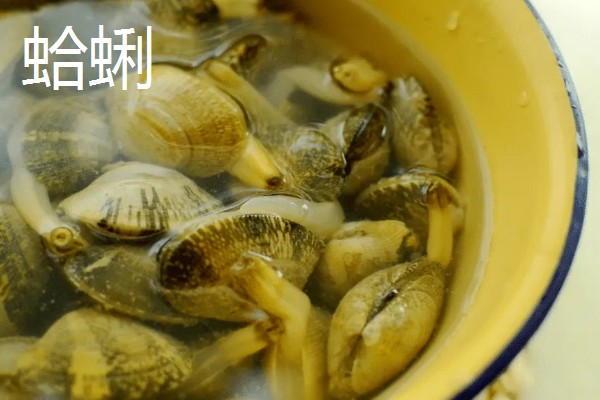 海笋贝的产地,原产于日本、朝鲜等沿海地区