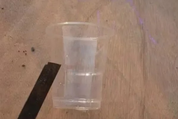 常春藤如何扦插,在顶端掐取约30厘米长的枝条作插穗