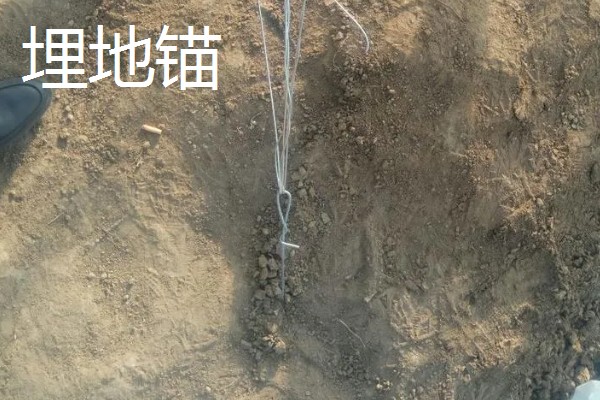 11月份适合种植什么蔬菜,适合种植生菜、菠菜等
