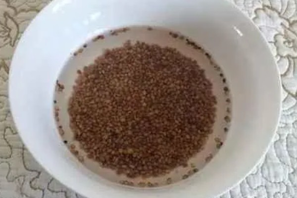 如何水培芽苗菜,首先要挑选健康饱满的种子