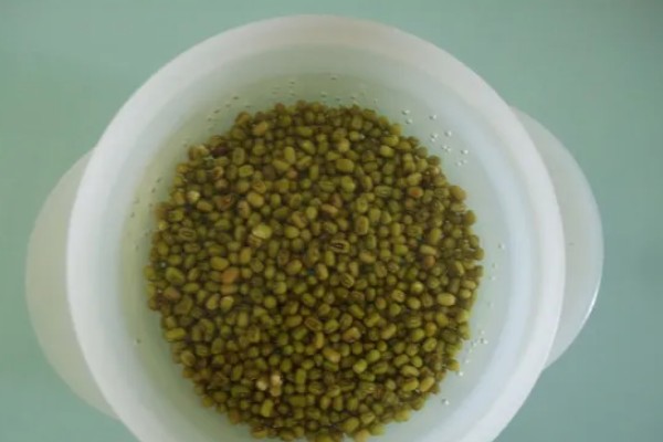 如何水培芽苗菜,首先要挑选健康饱满的种子