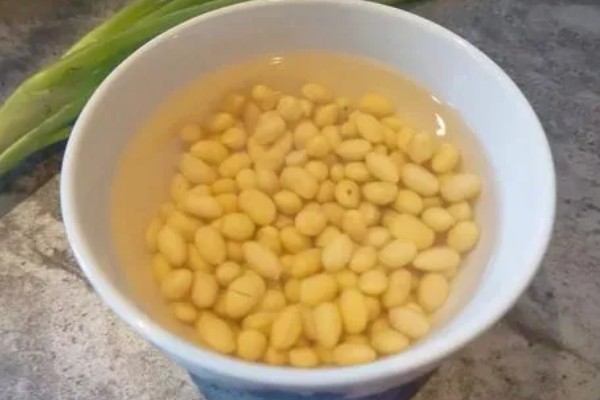 如何水培芽苗菜,首先要挑选健康饱满的种子