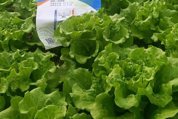 绿色食品的施肥原则，在确保营养供应的基础上减少化肥的用量