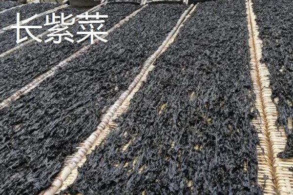 海山紫菜的产地,产于广东省海山镇