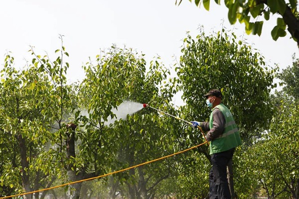 一天中什么时间打农药,不同季节打药时间不同