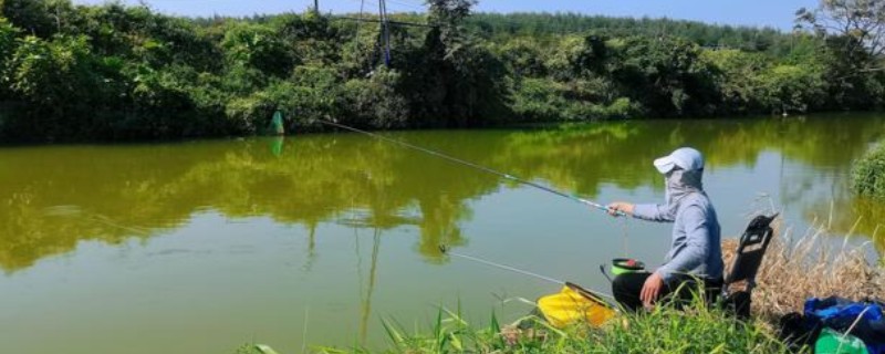 手竿钓鲤鱼调漂方法，以下三种方式很常用