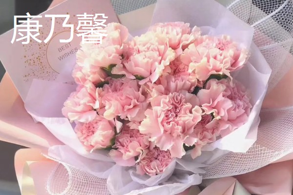 给母亲送哪些花合适，适合送康乃馨、百合花等