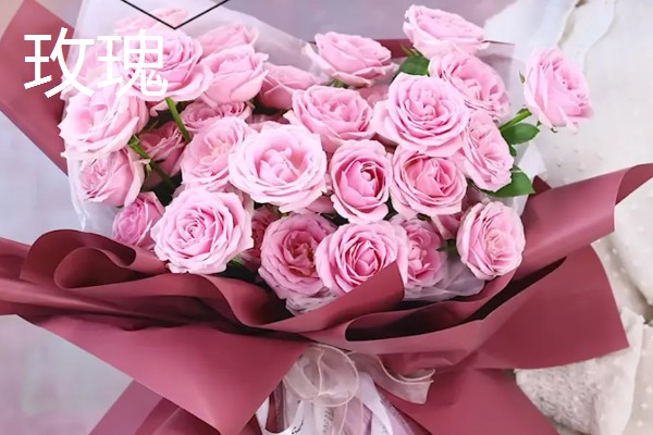 给母亲送哪些花合适，适合送康乃馨、百合花等
