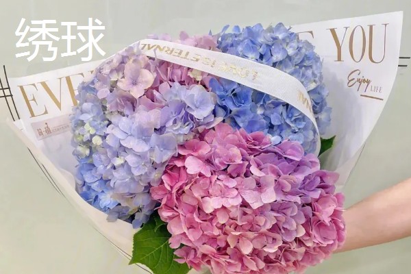给母亲送哪些花合适，适合送康乃馨、百合花等