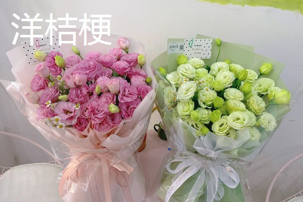 给母亲送哪些花合适，适合送康乃馨、百合花等