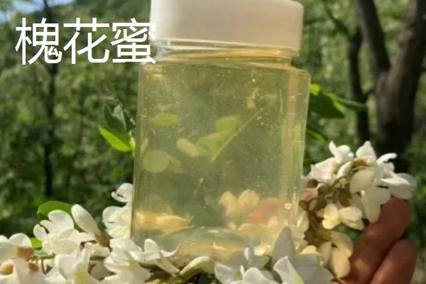 槐花蜜好还是枣花蜜好，槐花蜜的色泽和口感略优