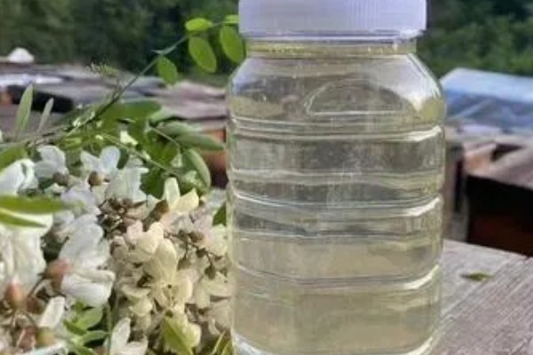 槐花蜜好还是枣花蜜好，槐花蜜的色泽和口感略优