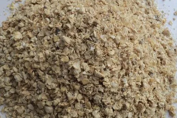 用一次性培养料栽培金针菇的方法,培养室的温度保持在22-26℃