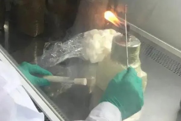 用一次性培养料栽培金针菇的方法,培养室的温度保持在22-26℃