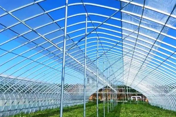 种植为什么要架大棚,能起到保温、保湿等作用