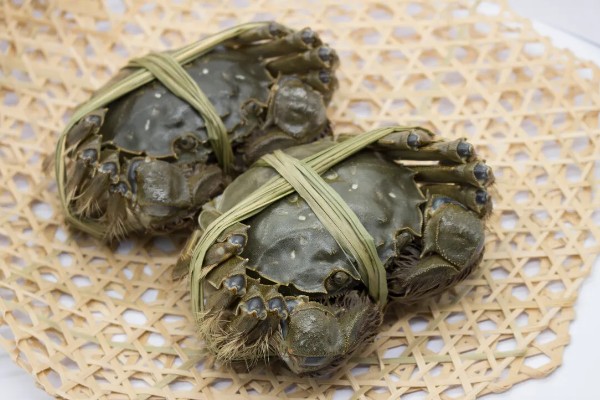 阳澄湖大闸蟹的价格，不同规格的价格不同