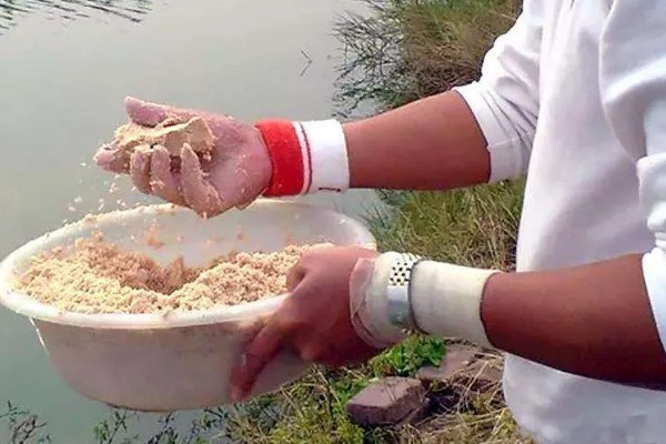 用什么打窝钓黄颡鱼,可使用比较浓腥的饵料