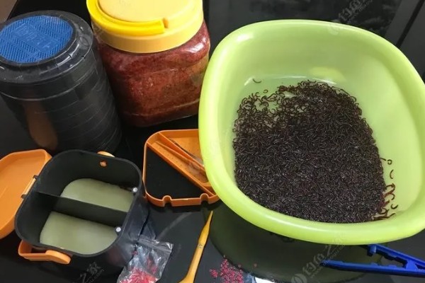 用什么打窝钓黄颡鱼,可使用比较浓腥的饵料