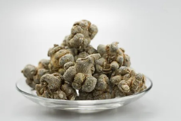 三七在家里怎样打粉，在专用的打粉机器中进行