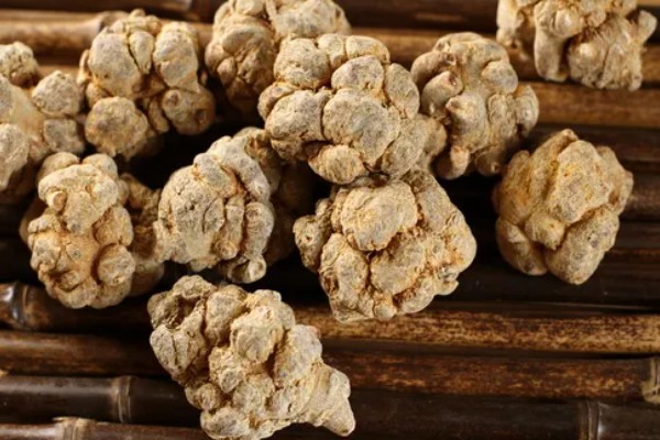 三七在家里怎样打粉，在专用的打粉机器中进行