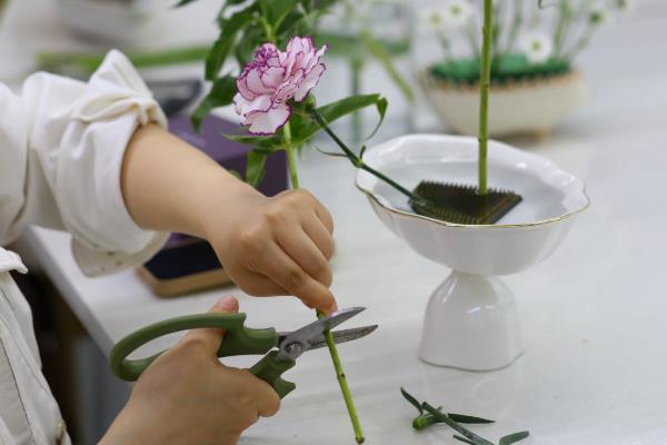 五四青年节适合送什么花,推荐百合花、兰花等