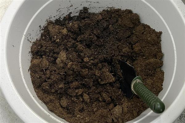 怎样养多肉，在光照充足的环境下叶色会更漂亮