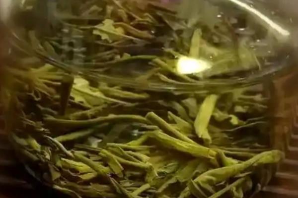 为什么家里不能种米兰花,是因为其花香浓郁带来不适