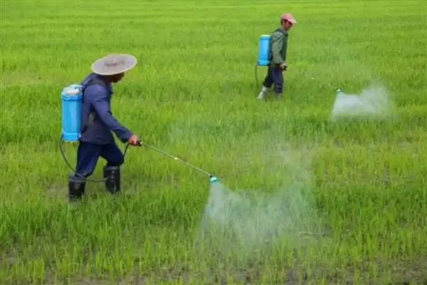 生物农药有什么类型,分为植物源农药、微生物源农药等种类