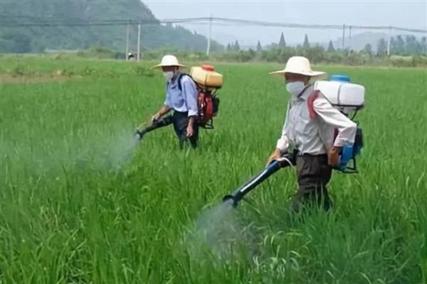 生物农药有什么类型,分为植物源农药、微生物源农药等种类