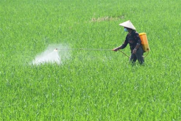 生物农药有什么类型,分为植物源农药、微生物源农药等种类