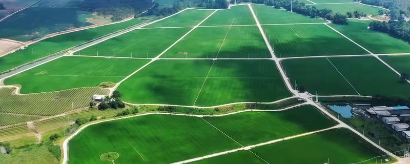 高标准农田建设项目定义,是将建设高标准基本农田作为目标