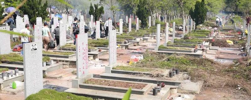 清明节的习俗，有踏青、植树等活动