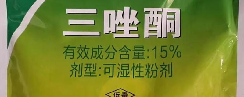 三唑酮主要防治哪种病害，可有效防治紫薇白粉病、菊花白粉病等
