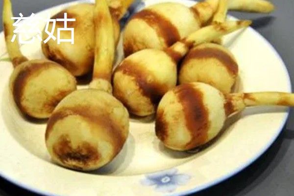 慈姑怎么种植,水田的水位要控制在3厘米